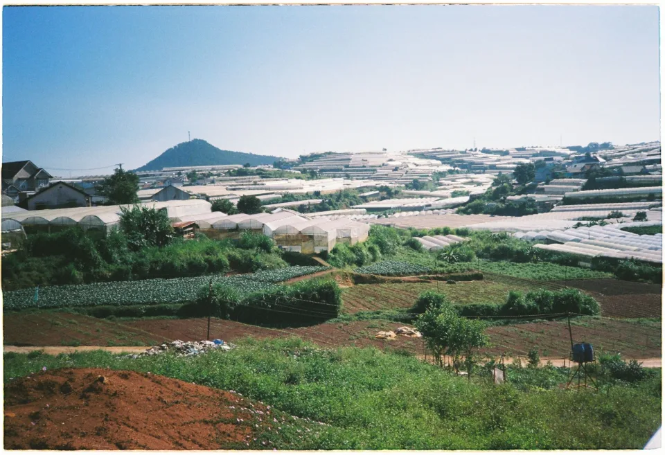 Vườn rau của Lê Thị Phương